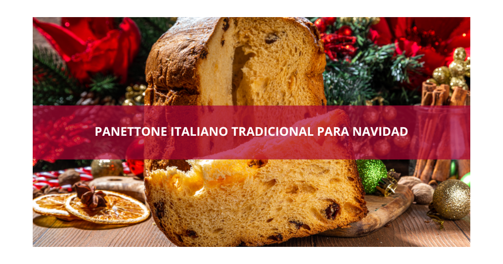 Panettone italiano tradicional para Navidad 